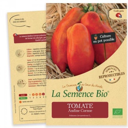 Graines Tomate Andine Cornue BIO - La Semence Bio